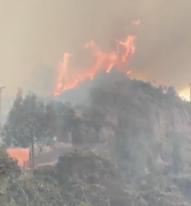 Karhutla Meluas, Wisata Bromo Ditutup Total Mulai 12 September 2026