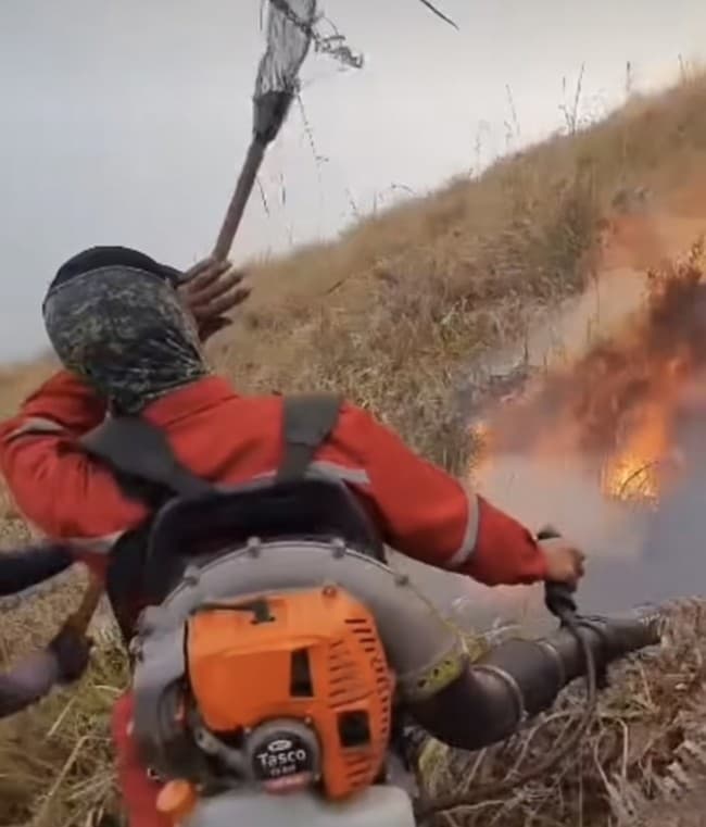 Dikritik Gegara Pakai Engine Blower Padamkan Karhutla Bromo, Ini Kata BB TNBTS